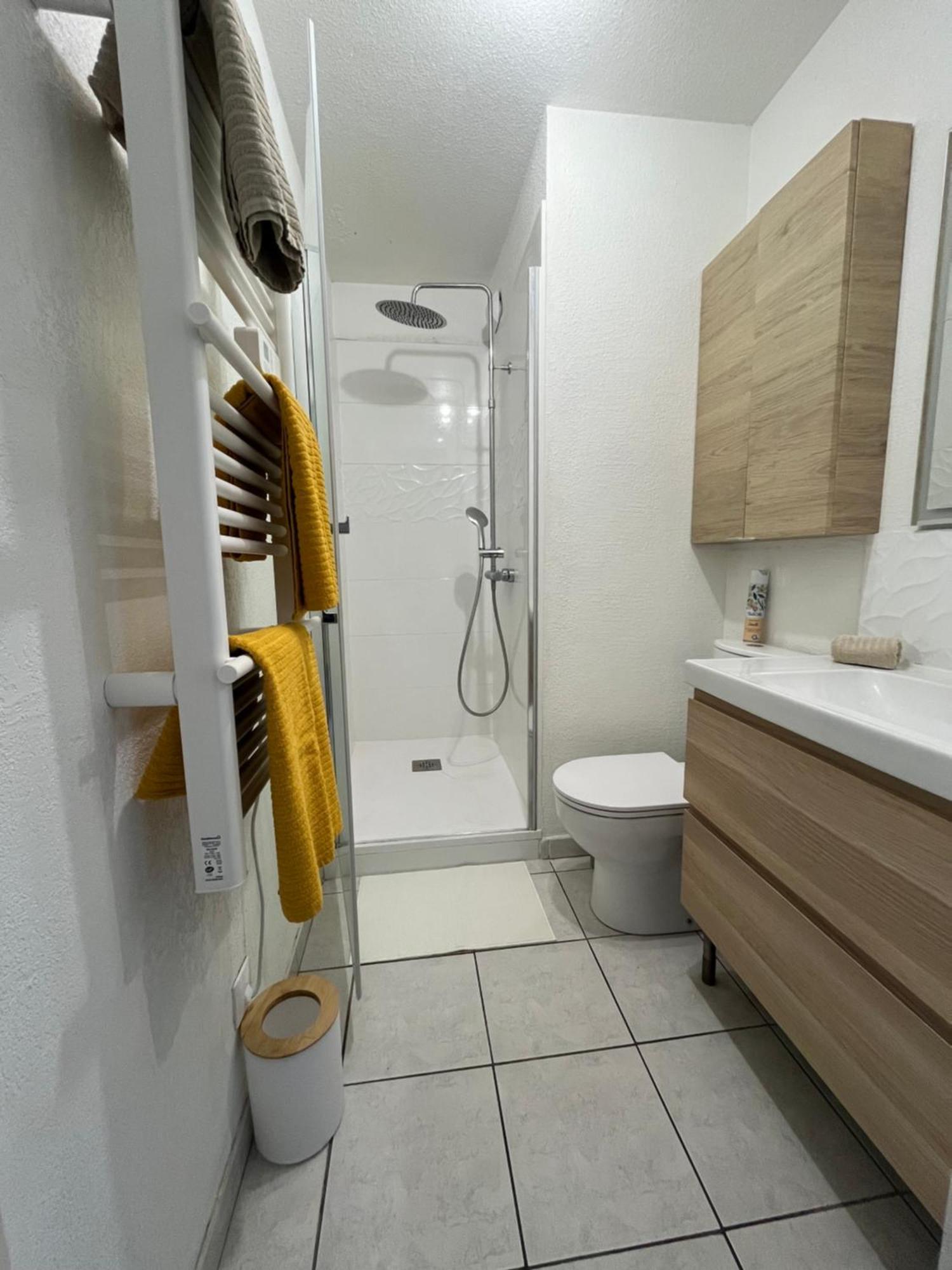 דירות מונפלייה Joli T2/ Tram/ Clim/ Parking/ Wifi/ Piscine מראה חיצוני תמונה